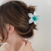 Thumbnail for Chic 3Pcs Gradient Flower Hair Clip Hair Claw Set