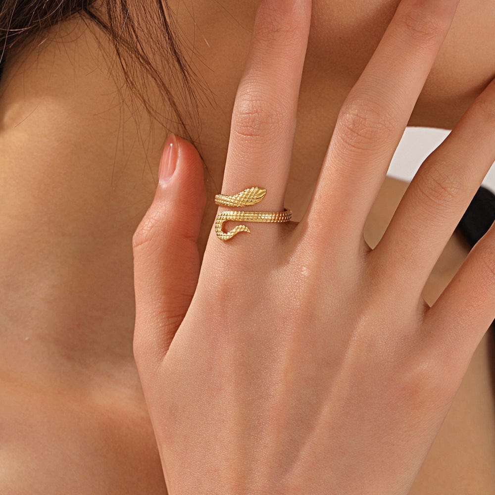 Chic Stainless Steel Snake Ring - ArtGalleryZen