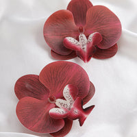 Thumbnail for Exaggerated Butterfly Orchid Flower Stud Earrings