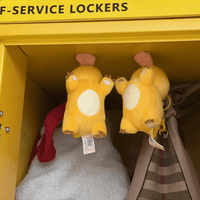 Thumbnail for Funny Magnetic Big Tongue Plush Dragon Keychain Doll - ArtGalleryZen