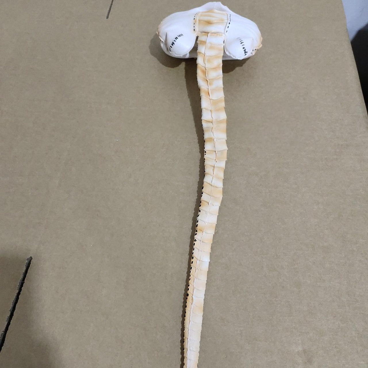 Halloween Scorpion Alien Xenomorph Hugger Face Mask - ArtGalleryZen