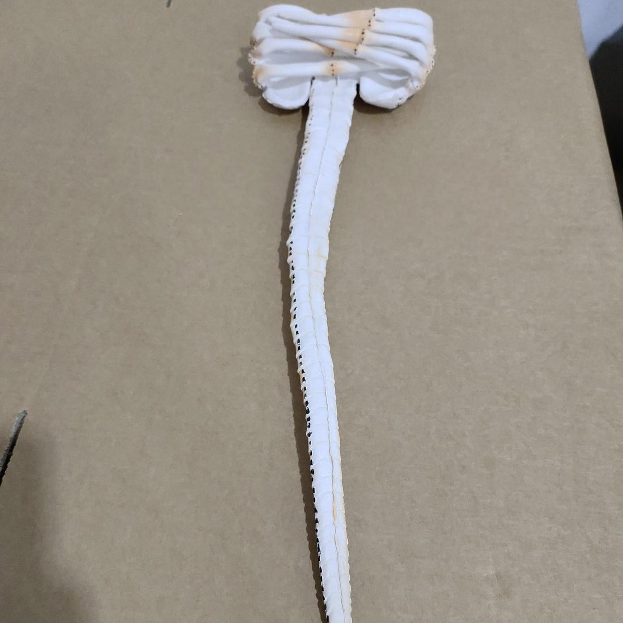 Halloween Scorpion Alien Xenomorph Hugger Face Mask - ArtGalleryZen