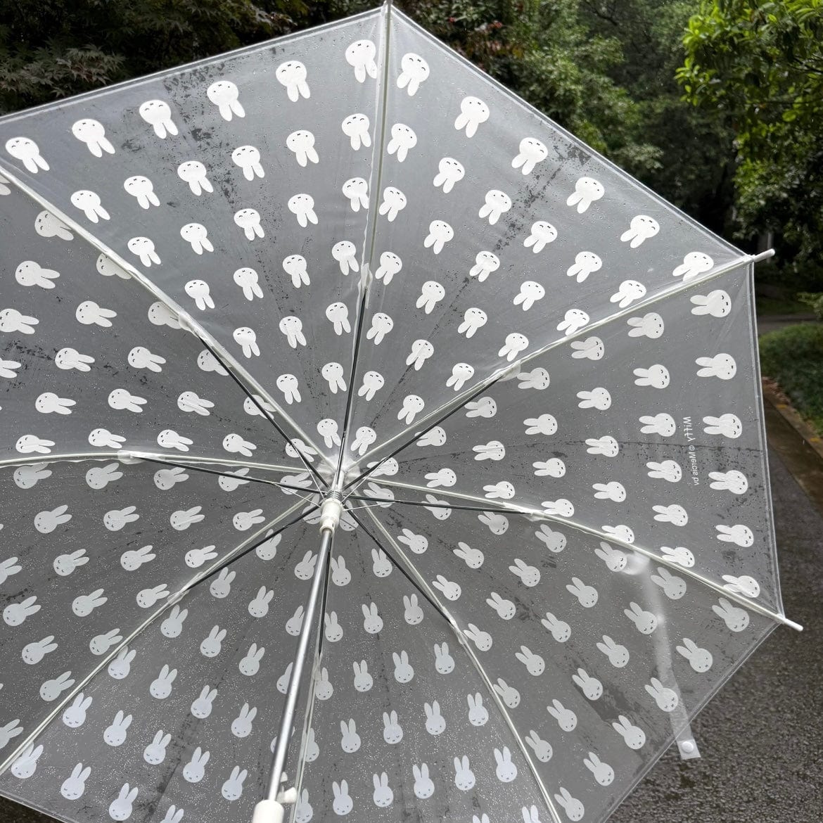 Miffy Frosted Transparent Long Handle Umbrella - ArtGalleryZen