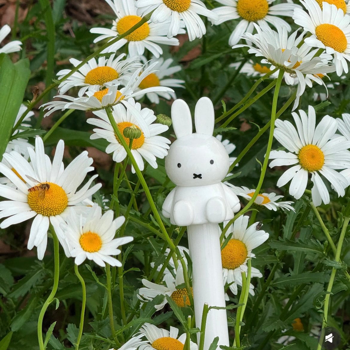 Miffy Frosted Transparent Long Handle Umbrella - ArtGalleryZen